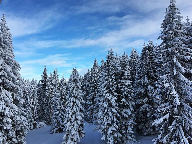 Sunset View Ski & Spa Apartments Kopaonik Extérieur photo